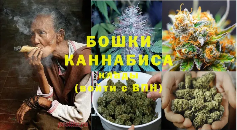 Бошки марихуана Bruce Banner  Западная Двина 